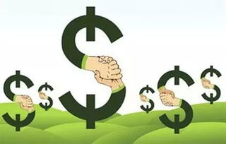 实现资金高效对接,营造优质营商环境 大庆产业金融服务平台潜力无限