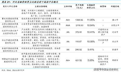 【国金研究】城投非标手册(2020版)--华北篇